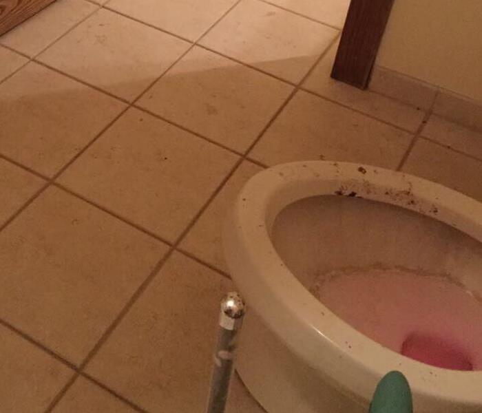 Dirty bathroom floor and toilet indicate a toilet overflow